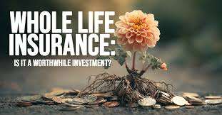 life insurance wealth using whole life insurance